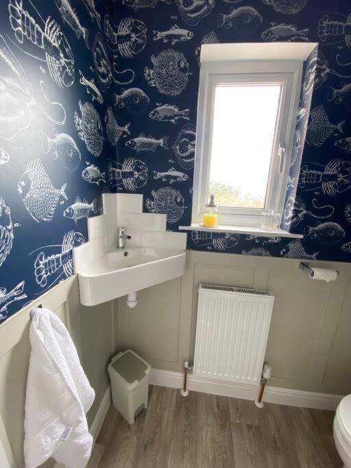 Sea Biscuit Cottage, スカーバラ エクステリア 写真
